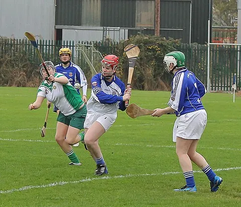 camogie: a women's stick-and-ball sport from Ireland, almost identical to hurling