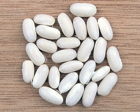cannellini: a type of white kidney bean used in Italian cooking
