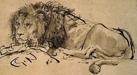 cape lion: a lion of the extinct population of subspecies Panthera leo melanochaita which inhabited the Cape...