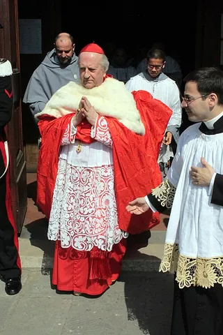 cappa magna: a voluminous mantle worn by clergymen: in the Roman Catholic church, bishops wear violet, cardinals...
