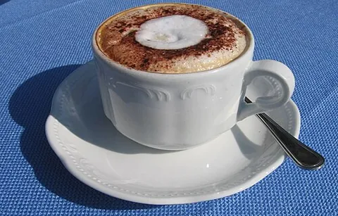 cappuccino: an Italian coffee-based beverage made from espresso to which milk that has been steamed or frothed...