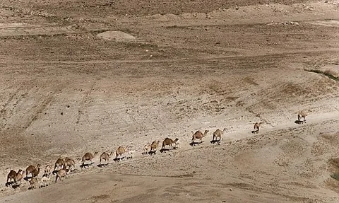 caravan: a convoy or procession of travellers, their cargo and vehicles, and any pack animals, especially...