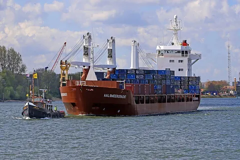 cargo ship: a ship that carries cargo