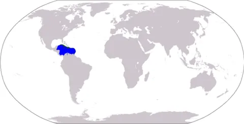 caribbean sea: a tropical sea in the Western Hemisphere, part of the Atlantic Ocean, southeast of the Gulf of...