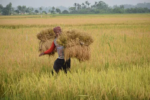 carry: to lift (something) and take it to another place; to transport (something) by lifting