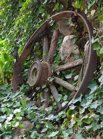 cartwheel: the wheel of a cart