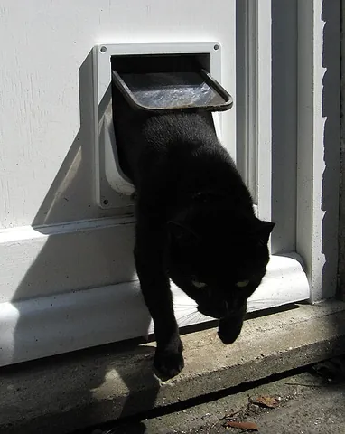 cat flap: a small, hinged panel, usually cut into a door, with an opening just large enough for a cat to enter