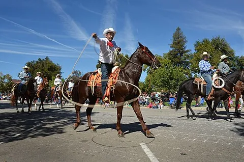 catch-rope: the rope that a cowboy uses to rope animals, having a loop on one end with which to capture the...