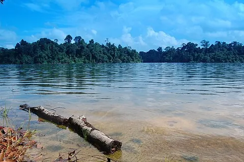 catchment: any structure or land feature which catches and holds water; the collection of such water