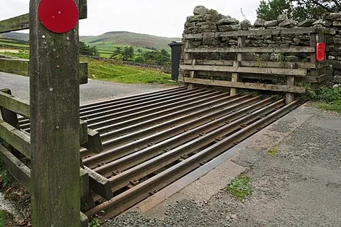 cattle grid: a grid of parallel metal bars set into a road as an obstacle to prevent hooved animals from passing
