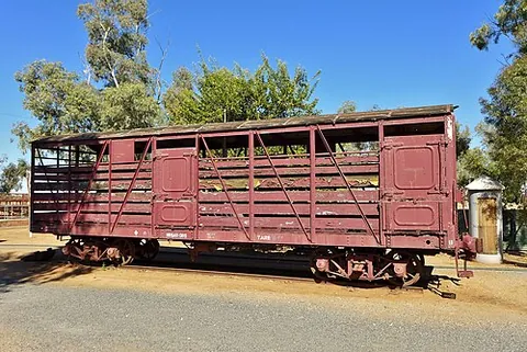 cattle wagon: a covered or uncovered goods wagon (mostly formerly) used for the transportation of live cattle