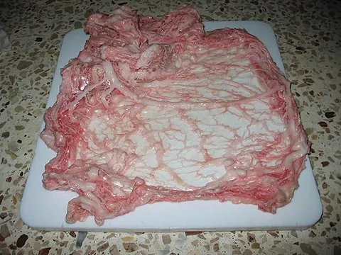 caul fat: the fatty, transparent serous membrane that covers the intestines of cows, sheep, and pigs, often...