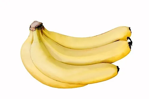 cavendish banana: a banana of the triploid (AAA) cultivars of Musa acuminata