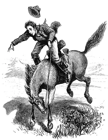 cayuse: a small Indian horse or pony