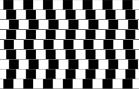 café wall illusion: an optical illusion in which the parallel straight dividing lines between staggered rows with...