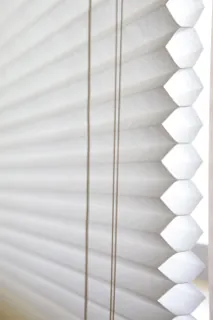 cellular shade: synonym of accordion blind
