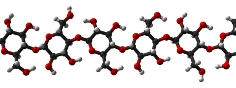 cellulose: a complex carbohydrate that forms the main constituent of the cell wall in most plants and is...