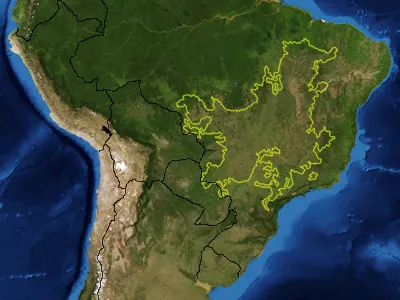 cerrado: a type of tropical savanna biome found in much of central Brazil and parts of Paraguay