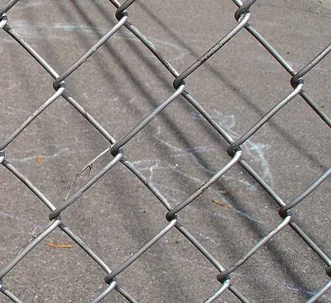 chainlink: wires woven in a zig-zag pattern to form a mesh