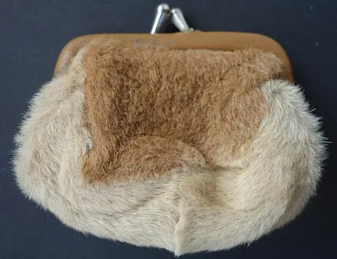 change purse: a small purse or pouch designed for carrying coins