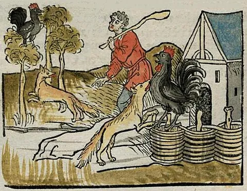 chanticleer: a domestic rooster or cock, especially in fables and fairy tales