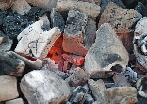 charcoal: impure carbon obtained by destructive distillation of wood or other organic matter, that is,...