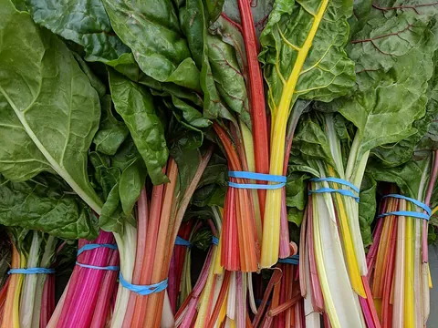 chard: an edible leafy vegetable, Beta vulgaris subsp. cicla, with a slightly bitter taste