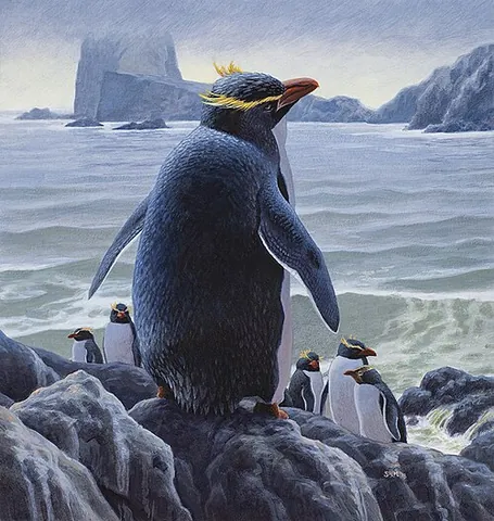 chatham islands penguin: eudyptes warhami, an extinct species of crested penguins, which lived on the Chatham Islands