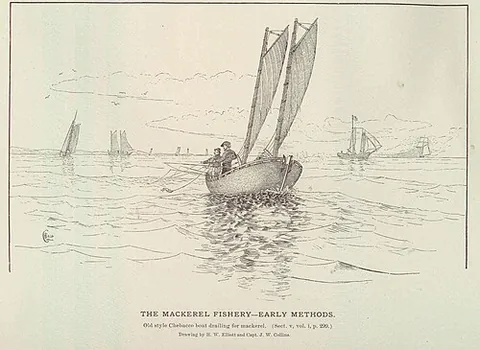 chebacco: a (relatively small) narrow-sterned boat formerly much used in the Newfoundland fisheries