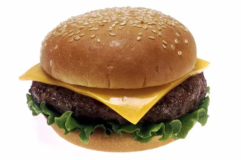 cheeseburger: a hamburger containing cheese (usually one or more slices of processed cheese)