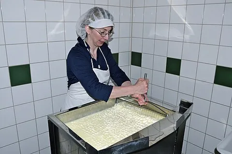cheesewoman: a woman who makes cheese