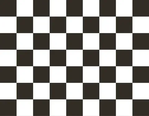 chequered flag: a black-and-white chequered flag which signifies the end of a race