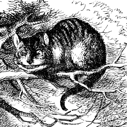 cheshire cat: a fictional cat with a broad fixed grin, made popular by Lewis Carroll's Alice's Adventures in...