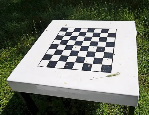 chessboard: a square playing surface divided into eight rows and eight columns, forming sixty-four equal...