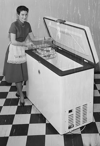 chest freezer: a long, low freezer that is opened from above, as opposed to the vertical kind with a front-facing...