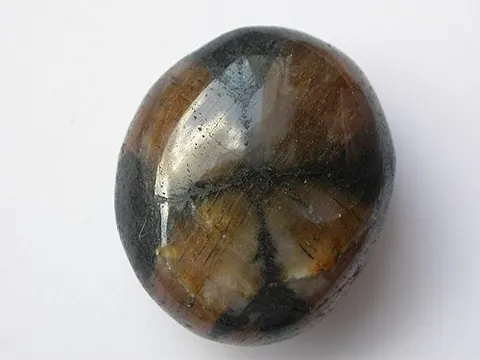 chiastolite: an aluminosilicate mineral having carbon inclusions, a variety of andalusite