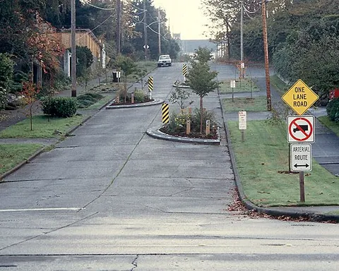 chicane: a quibble, a pedantic or dishonest objection; an act of deception