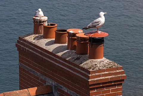 chimney pot: a short earthenware pipe, placed on top of a chimney to improve the draft