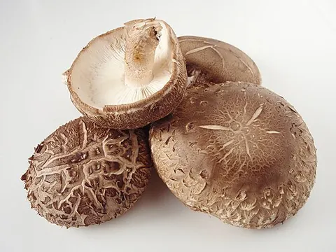 chinese mushroom: synonym of shiitake