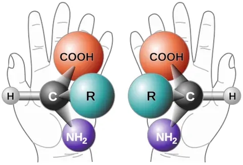 chirality: the phenomenon, in chemistry, physics and mathematics, in which objects are mirror images of each...