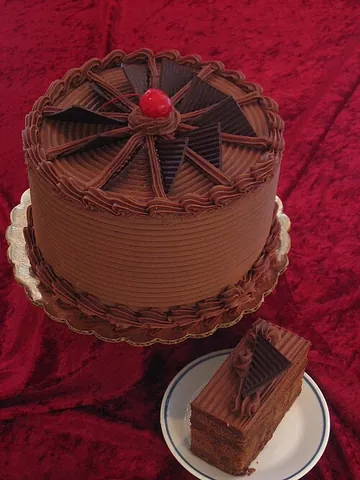 chocolate cake: a cake flavored with melted chocolate or chocolate powder