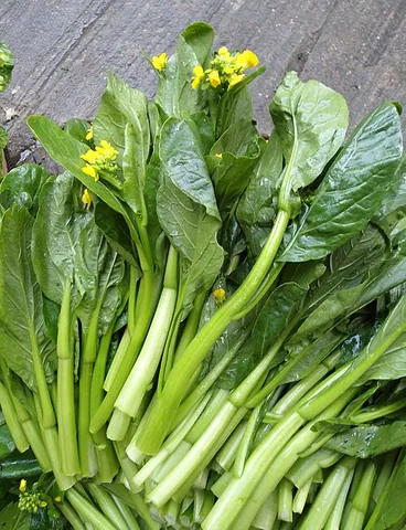 choy sum: a Chinese vegetable, a variety of Brassica rapa parachinensis subspecies, similar to bok choy but...