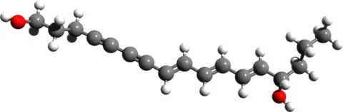 cicutoxin: a poisonous polyyne and alcohol found in various plants, including the water hemlock
