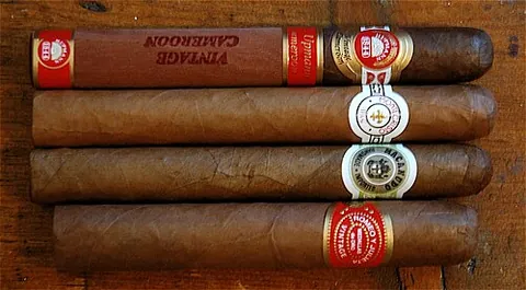 cigar: a cylinder of tobacco rolled and wrapped with an outer covering of tobacco leaves, intended to be...