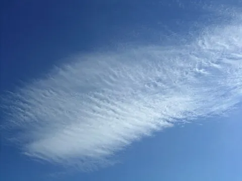cirrostratus: a principal high-level cloud type appearing as a whitish veil, usually fibrous but sometimes...