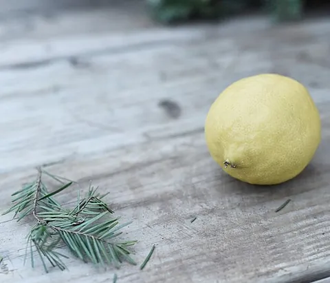 citrus fruit: any of the fruits in the common genus Citrus of flowering plants in the family Rutaceae