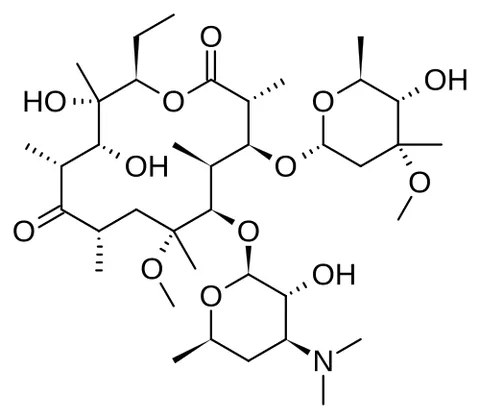 clarithromycin: a semisynthetic macrolide antibiotic C₃₈H₆₉NO₁₃ (trademarks Biaxin, Klaricid) used especially in...