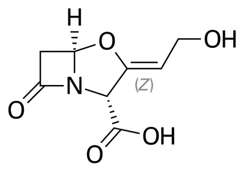 clavulanic acid: a beta-lactam compound C₈H₉NO₅ produced by the bacterium Streptomyces clavuligerus that is a...