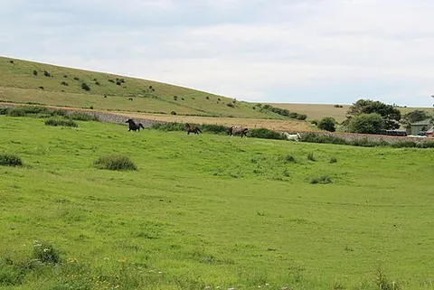 close the stable door after the horse has bolted: to attempt to prevent a problem that has already occurred; to design and implement a preventive...