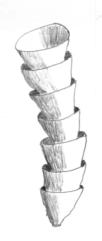cloudinid: any extinct animal in the family Cloudinidae